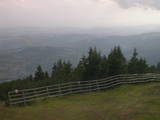 17 : 29