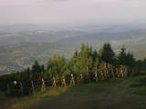 06 : 33