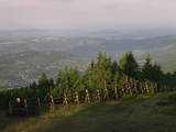 06 : 35