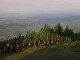 06 : 37
