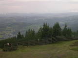 17 : 29