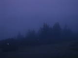04 : 49