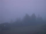 05 : 05