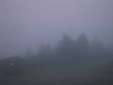 05 : 25
