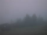 05 : 29