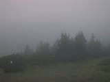 06 : 07