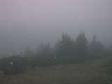 06 : 09