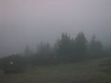 06 : 13