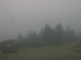 06 : 33