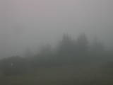 06 : 49