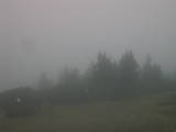 07 : 17