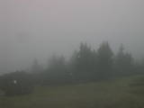 07 : 37