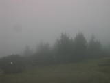 08 : 05