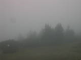 08 : 09