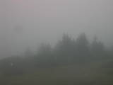 08 : 29