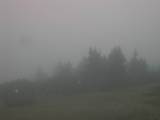 08 : 37