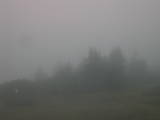 08 : 49