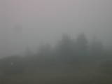 09 : 03