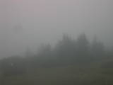 09 : 09