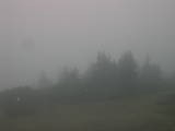09 : 33