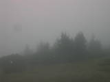 09 : 49