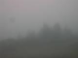 10 : 29