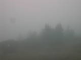 11 : 55