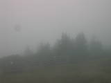 13 : 21