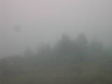 15 : 33