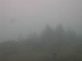 16 : 21