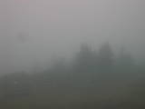 16 : 29