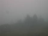 16 : 33