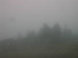 16 : 49
