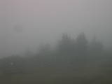 16 : 53