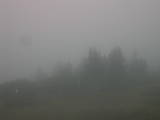 17 : 13