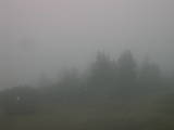 17 : 17