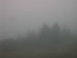 17 : 21