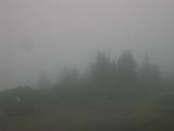 17 : 25