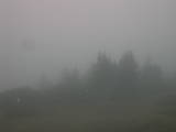 17 : 29