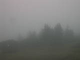 17 : 33