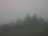 17 : 37