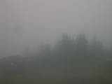 17 : 41