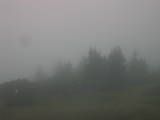 17 : 49