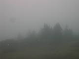 18 : 17