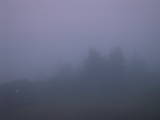 05 : 25