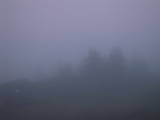 05 : 29