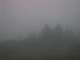 05 : 49