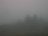 06 : 03