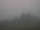 06 : 09