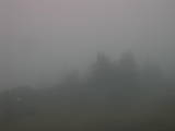 06 : 11